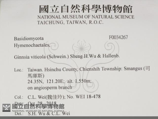 登錄號:F0034267藏品圖，第2張