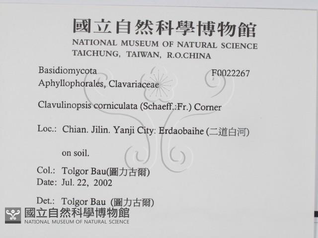 登錄號:F0022267藏品圖，第2張