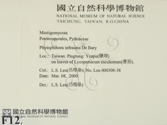 登錄號:F0012267藏品圖，第2張