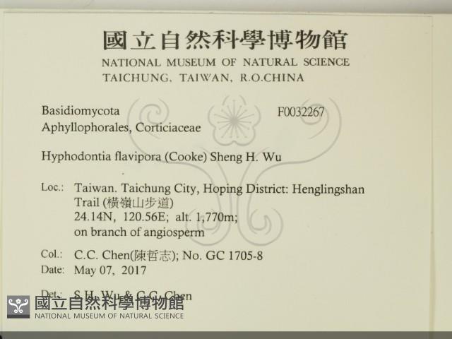 登錄號:F0032267藏品圖，第2張