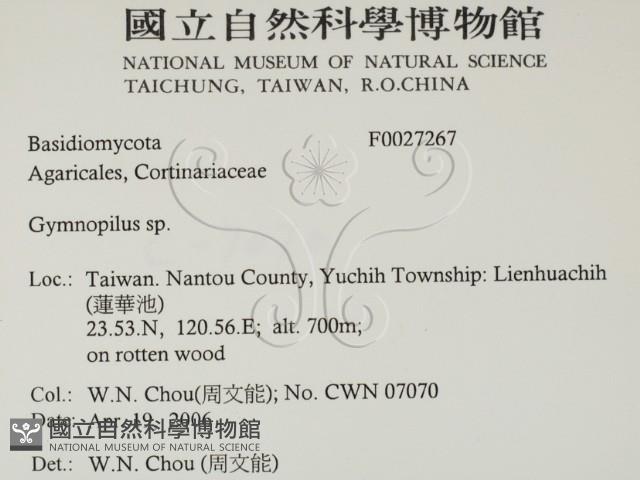 登錄號:F0027267藏品圖，第2張
