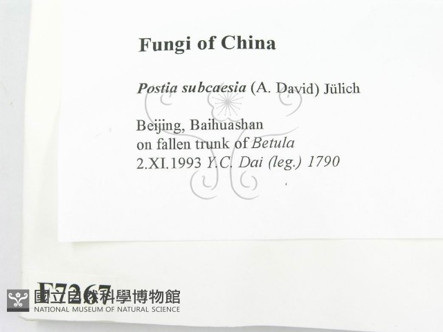 登錄號:F0007267藏品圖，第2張