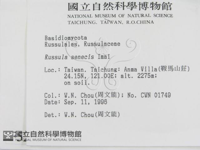 登錄號:F0005267藏品圖，第2張