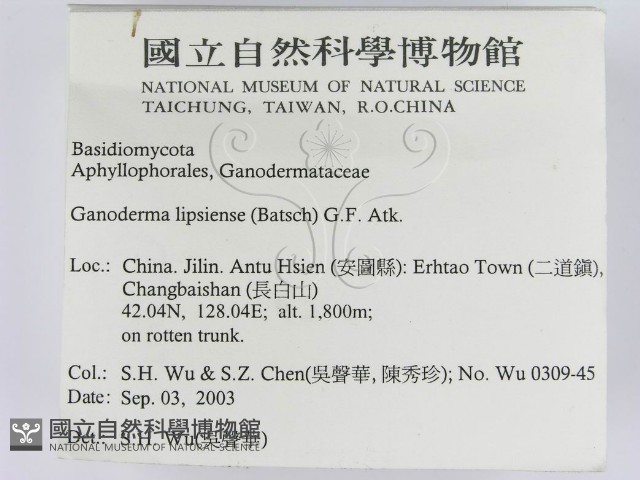 登錄號:F0015267藏品圖，第2張