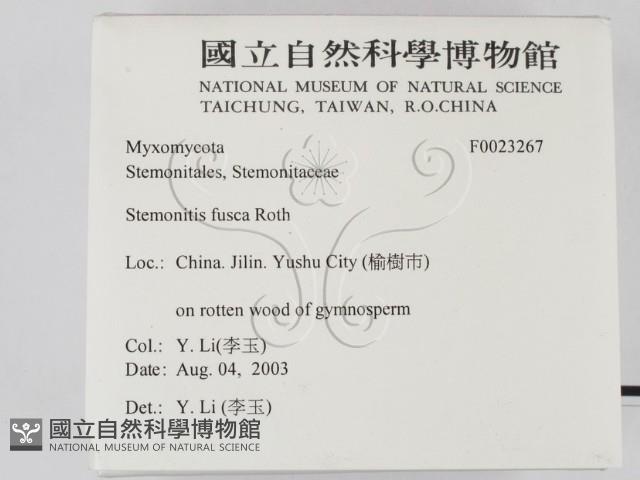 登錄號:F0023267藏品圖，第2張