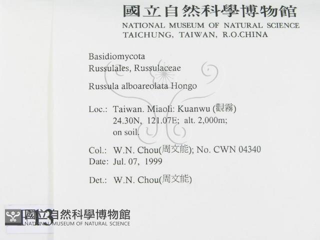 登錄號:F0013267藏品圖，第2張