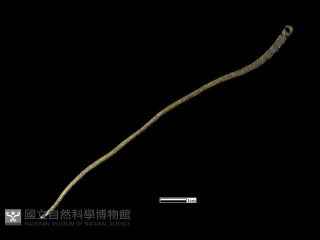 髮簪藏品圖，第2張