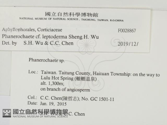 登錄號:F0028867藏品圖，第2張