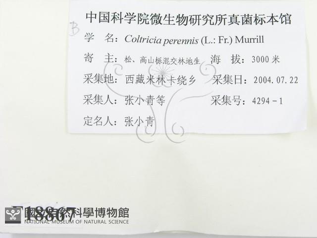 登錄號:F0018867藏品圖，第2張