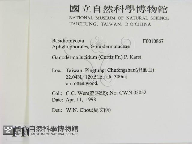 登錄號:F0010867藏品圖，第2張
