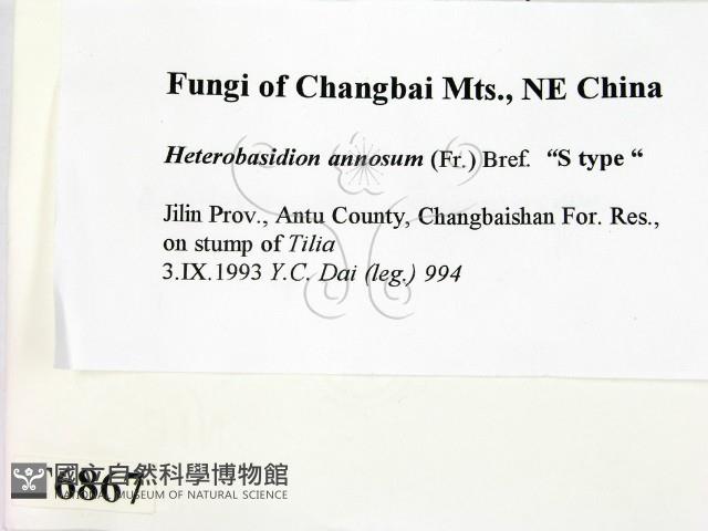 登錄號:F0006867藏品圖，第2張