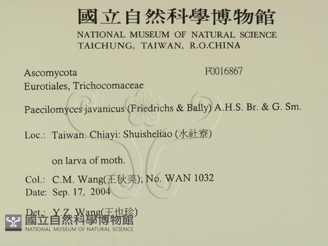 登錄號:F0016867藏品圖，第2張