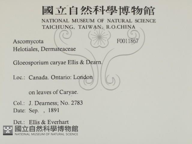 登錄號:F0011867藏品圖，第2張
