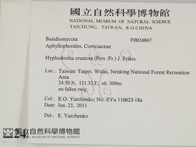 登錄號:F0024867藏品圖，第2張