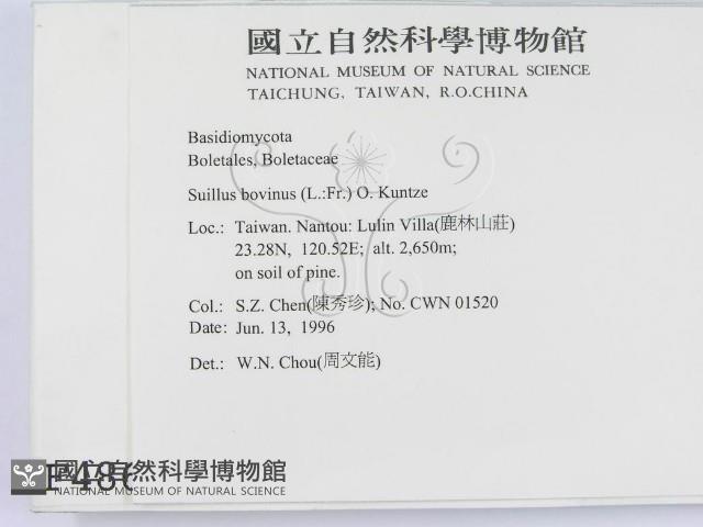 登錄號:F0004867藏品圖，第2張