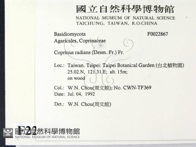 登錄號:F0022867藏品圖，第2張