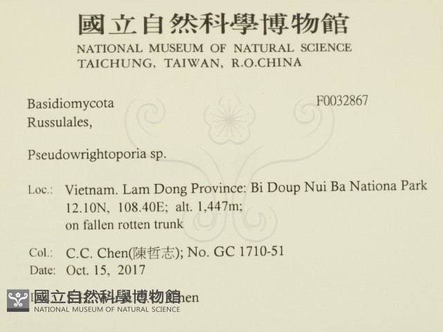 登錄號:F0032867藏品圖，第2張