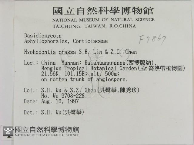 登錄號:F0007867藏品圖，第2張