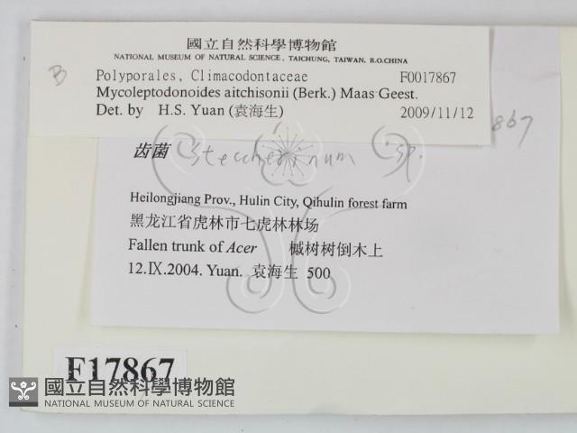 登錄號:F0017867藏品圖，第2張