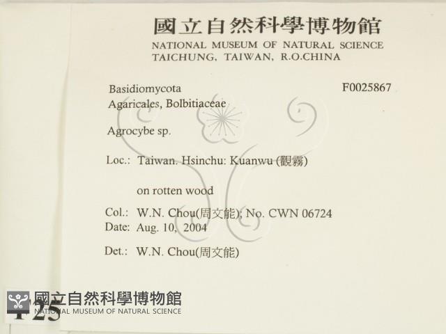 登錄號:F0025867藏品圖，第2張