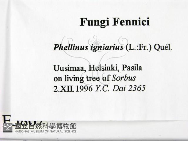 登錄號:F0005867藏品圖，第2張