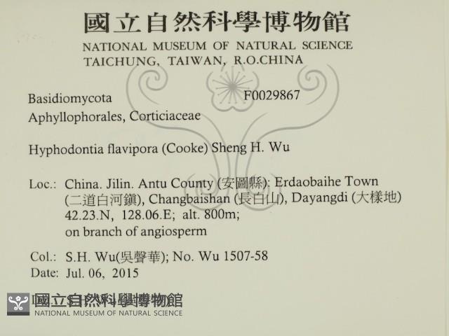 登錄號:F0029867藏品圖，第2張