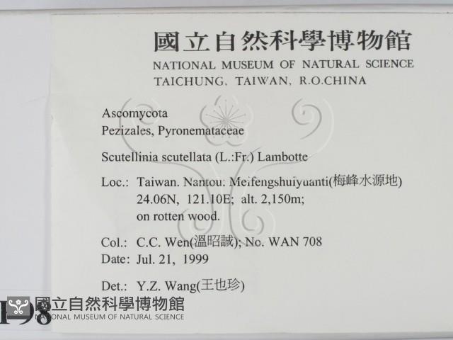 登錄號:F0009867藏品圖，第2張