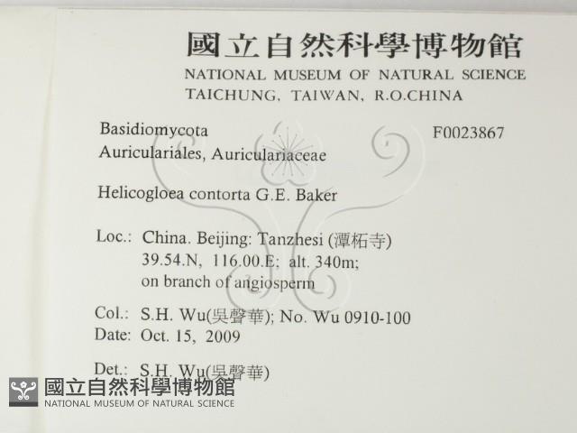 登錄號:F0023867藏品圖，第2張