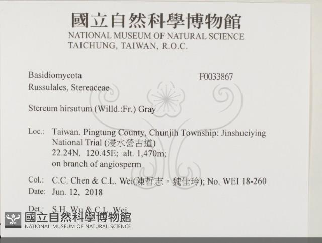 登錄號:F0033867藏品圖，第2張