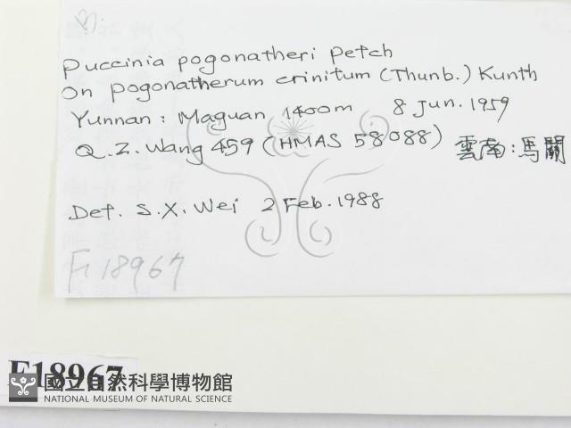 登錄號:F0018967藏品圖，第2張