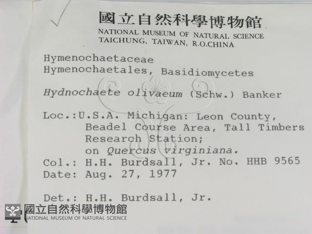 登錄號:F0000967藏品圖，第2張