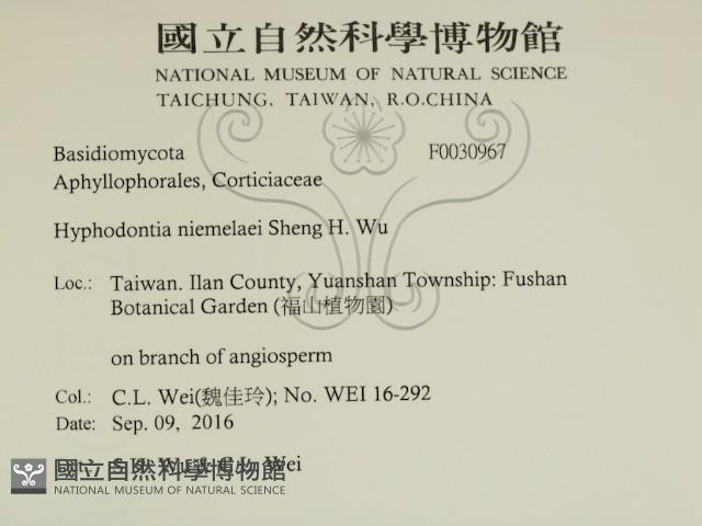 登錄號:F0030967藏品圖，第2張