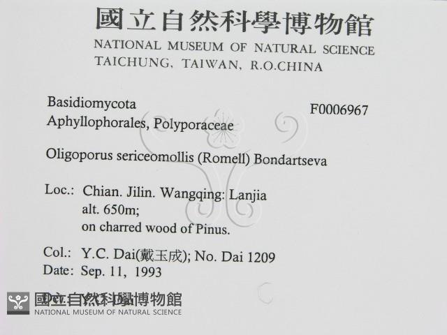 登錄號:F0006967藏品圖，第2張