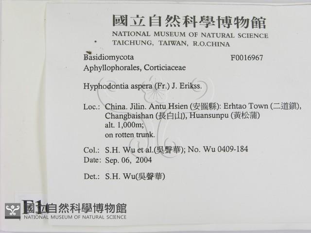 登錄號:F0016967藏品圖，第2張