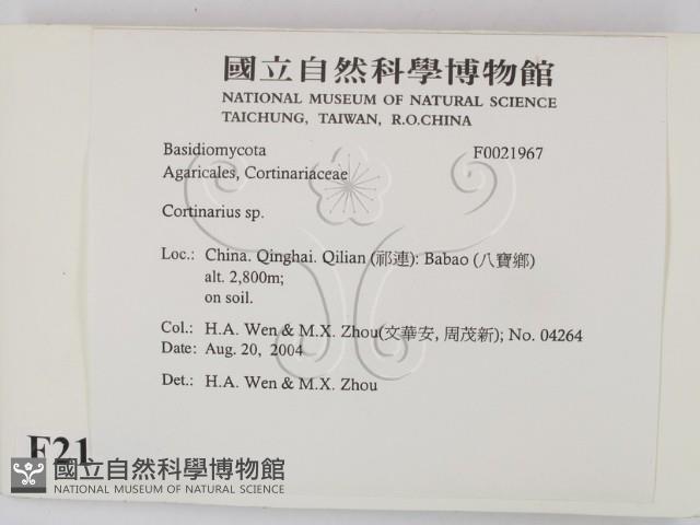 登錄號:F0021967藏品圖，第2張