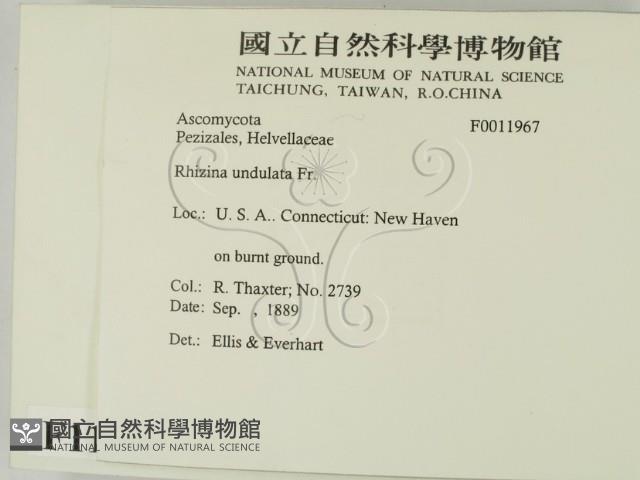 登錄號:F0011967藏品圖，第2張