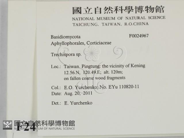 登錄號:F0024967藏品圖，第2張