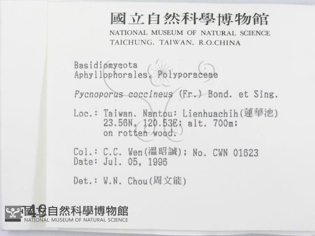 登錄號:F0004967藏品圖，第2張