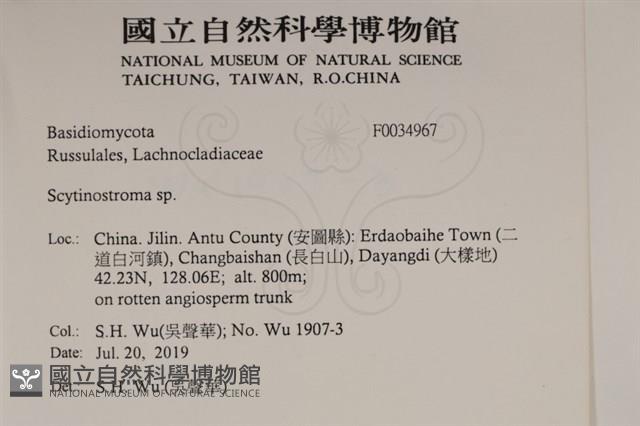 登錄號:F0034967藏品圖，第2張