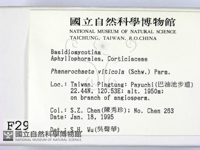 登錄號:F0002967藏品圖，第2張