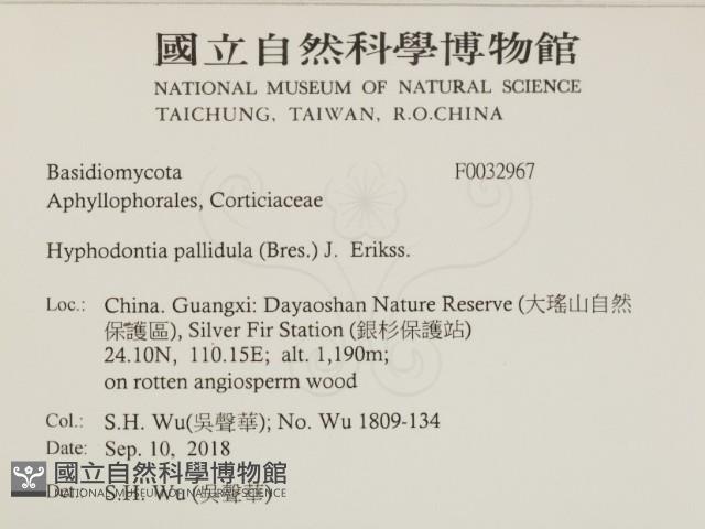 登錄號:F0032967藏品圖，第2張