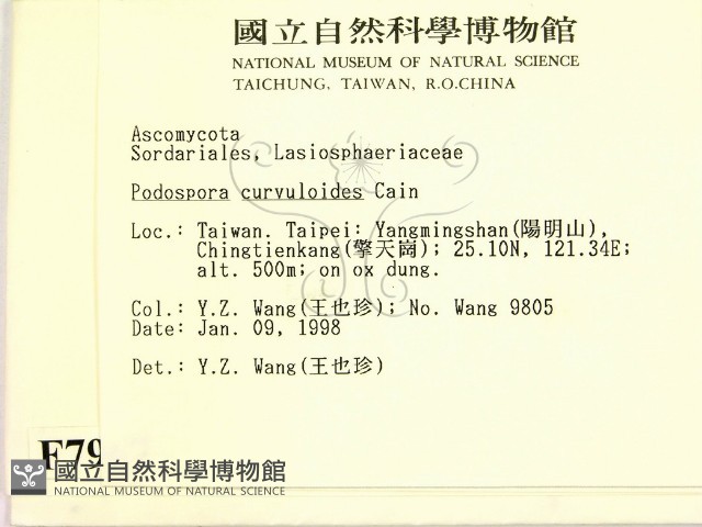 登錄號:F0007967藏品圖，第2張