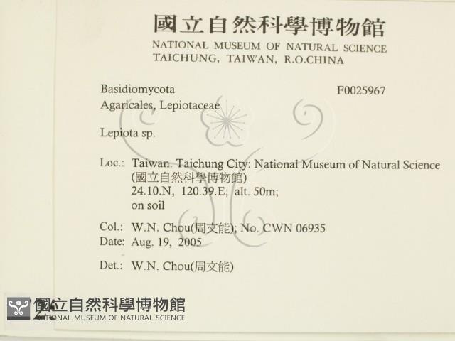 登錄號:F0025967藏品圖，第2張
