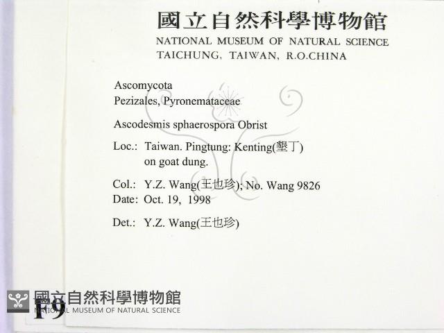 登錄號:F0009967藏品圖，第2張