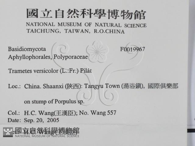 雲芝藏品圖，第2張