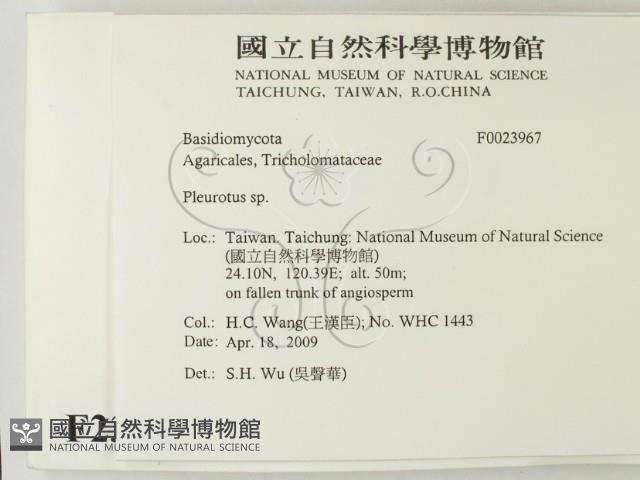 登錄號:F0023967藏品圖，第2張