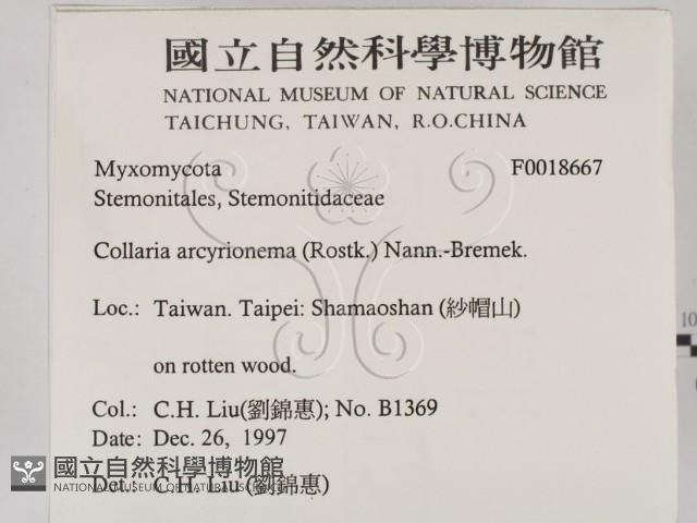 登錄號:F0018667藏品圖，第2張