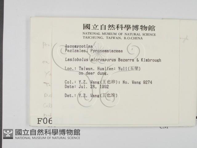 登錄號:F0000667藏品圖，第2張