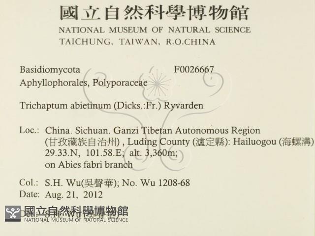 登錄號:F0026667藏品圖，第2張