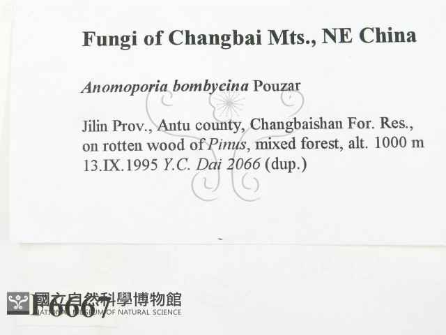 登錄號:F0006667藏品圖，第2張